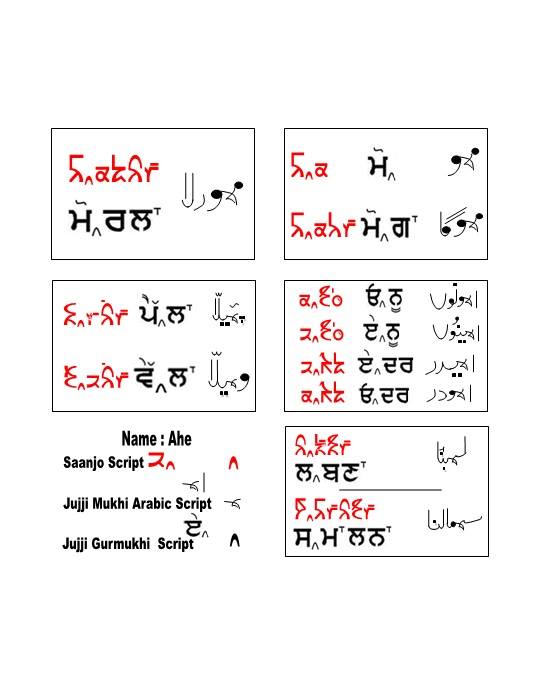 Saanjo Standard Punjabi Language ‹ SAANJO