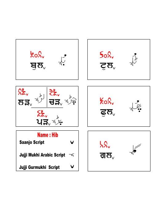 Saanjo Standard Punjabi Language ‹ SAANJO
